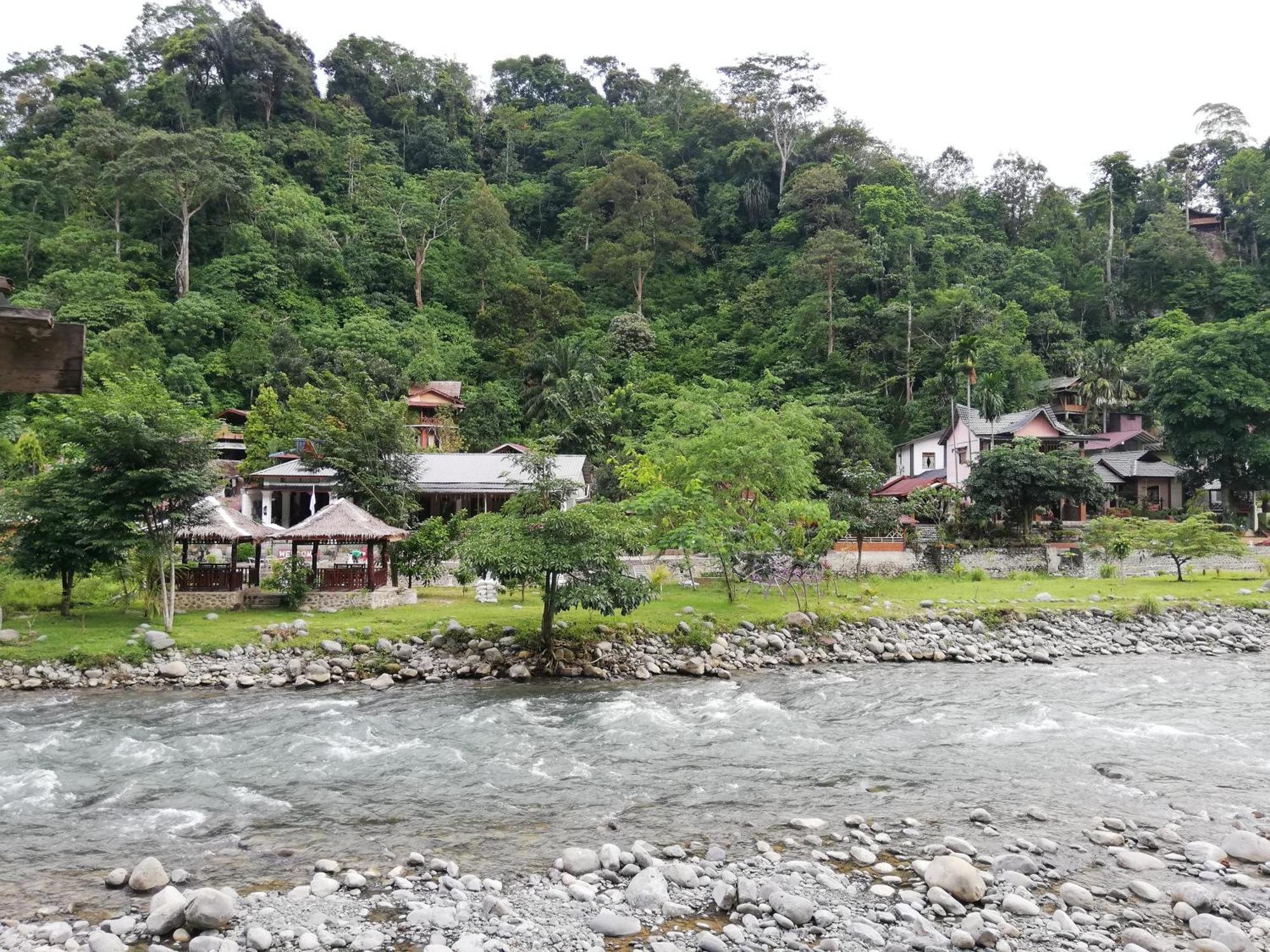 Umiyuki Jungle Tour Only Treking With As Ξενοδοχείο Bukit Lawang Εξωτερικό φωτογραφία